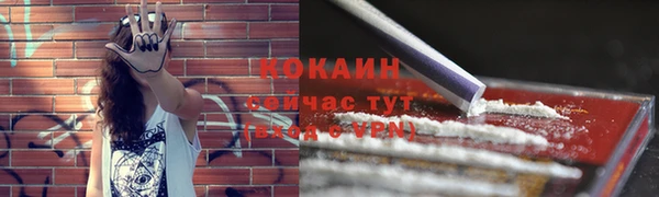 apvp Арсеньев