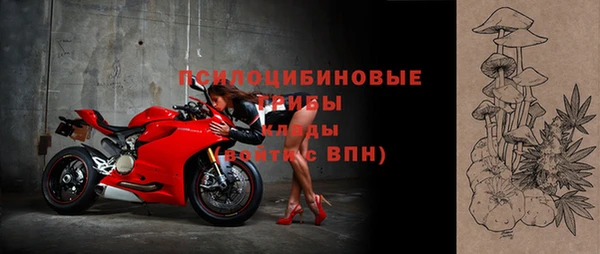 apvp Арсеньев